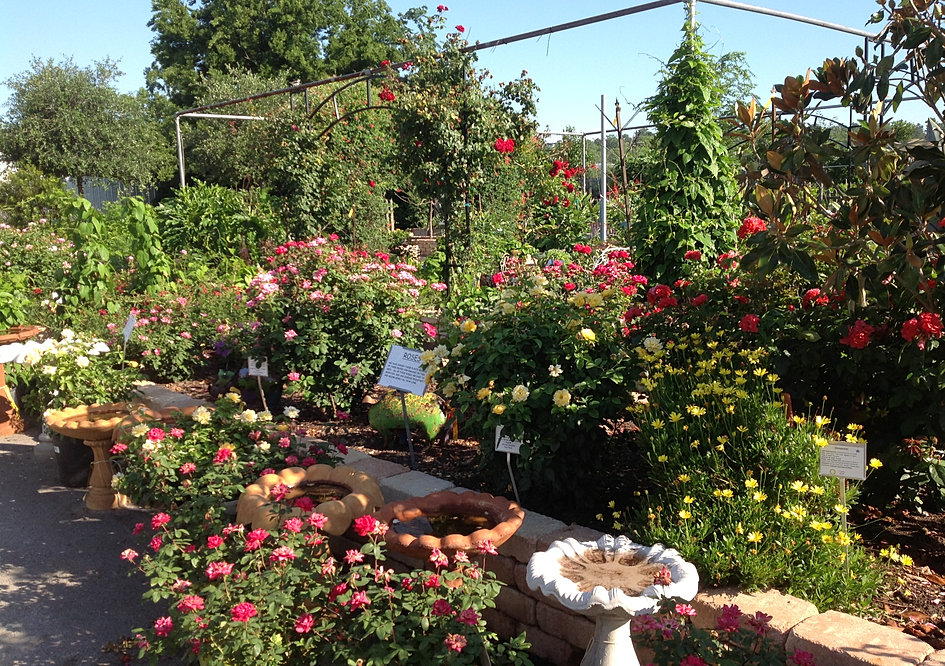 Take a Tour of The Growers Outlet