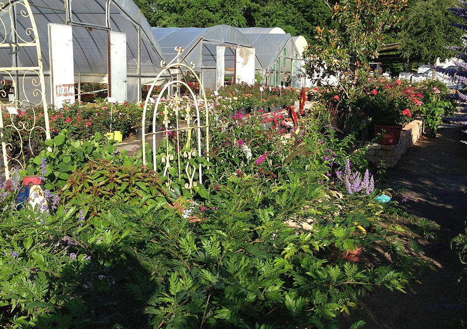 Take a Tour of The Growers Outlet