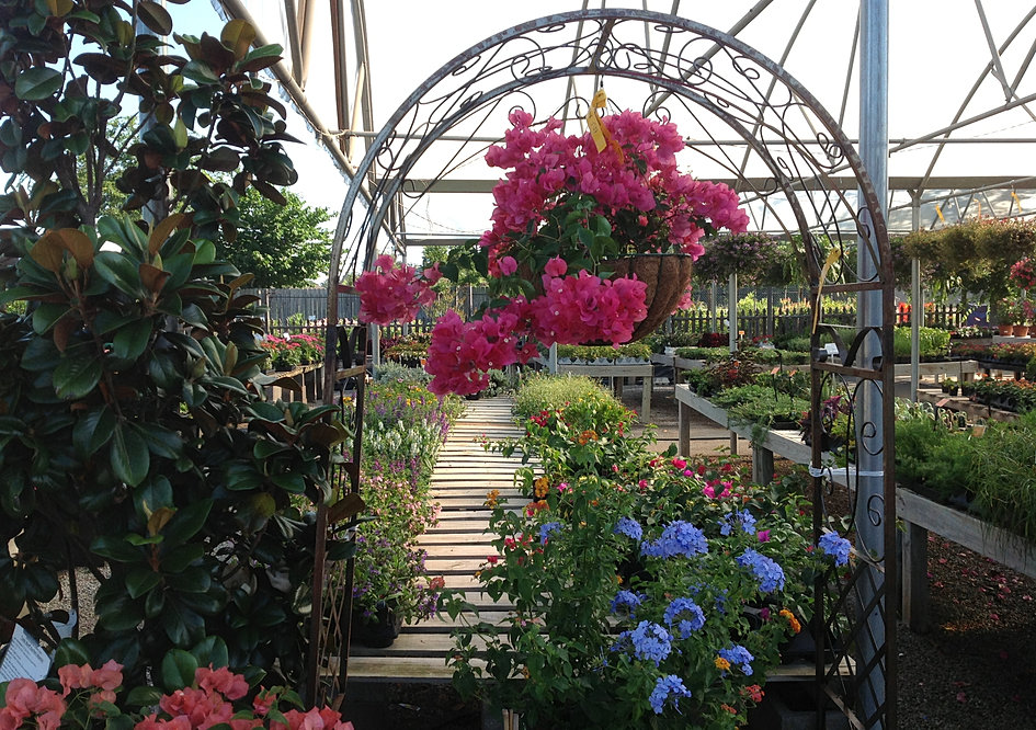 Take a Tour of The Growers Outlet