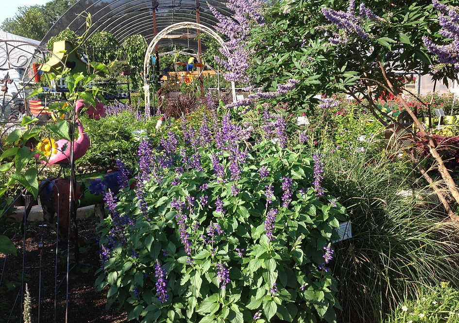 Take a Tour of The Growers Outlet