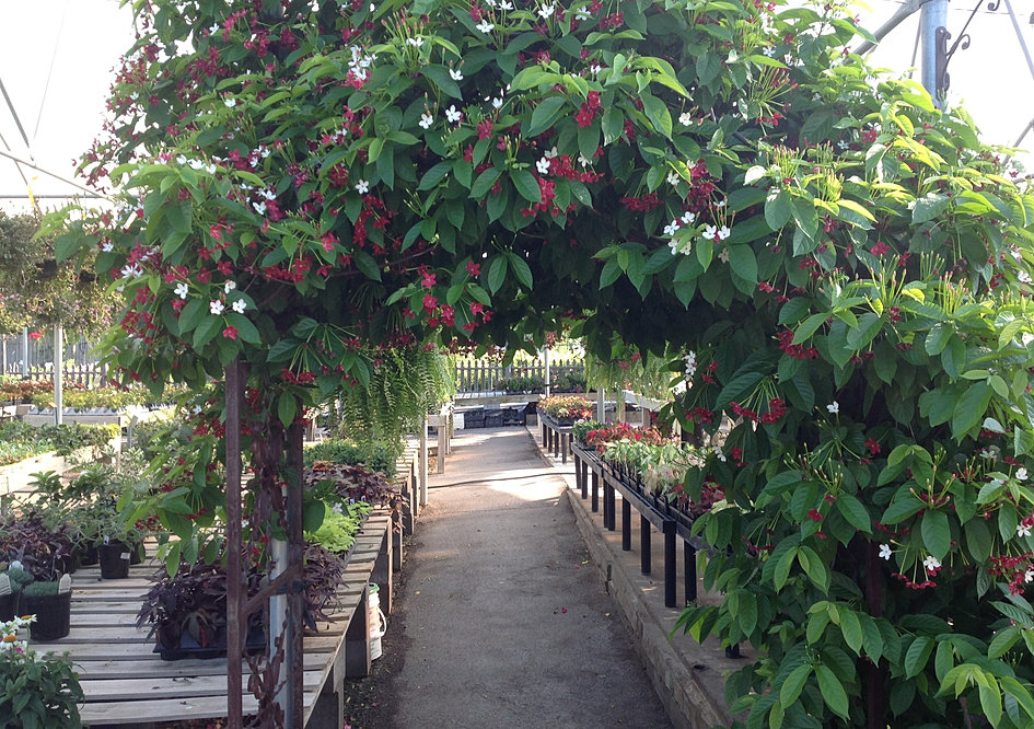 Take a Tour of The Growers Outlet