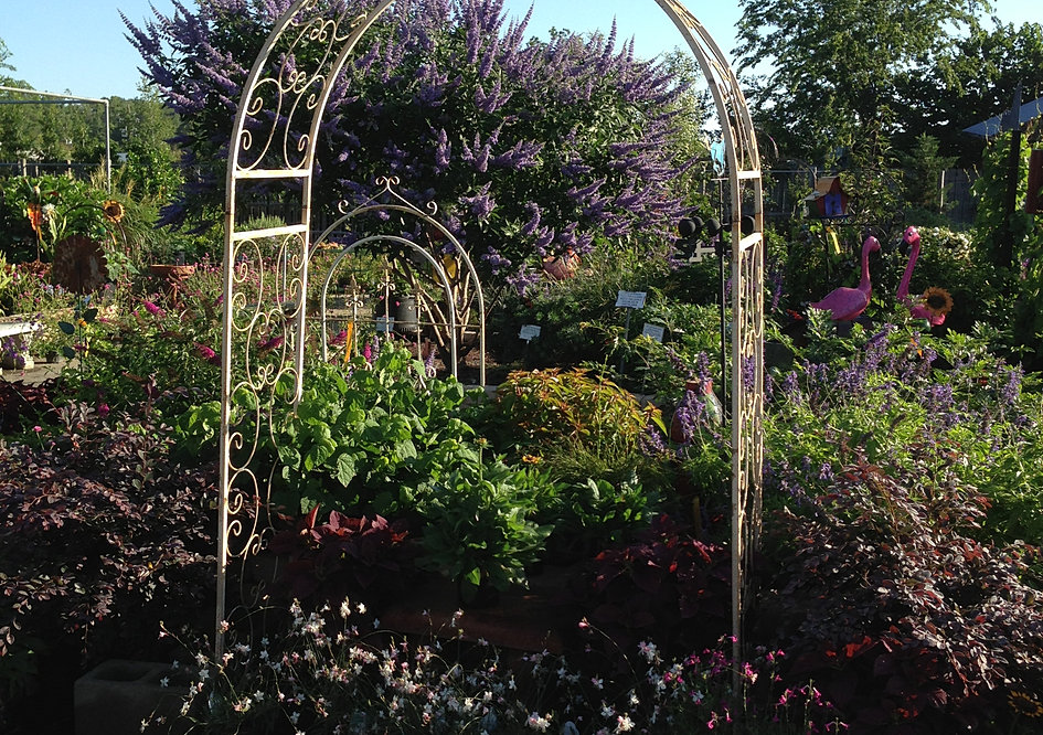 Take a Tour of The Growers Outlet