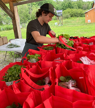 kory packing CSA.jpg