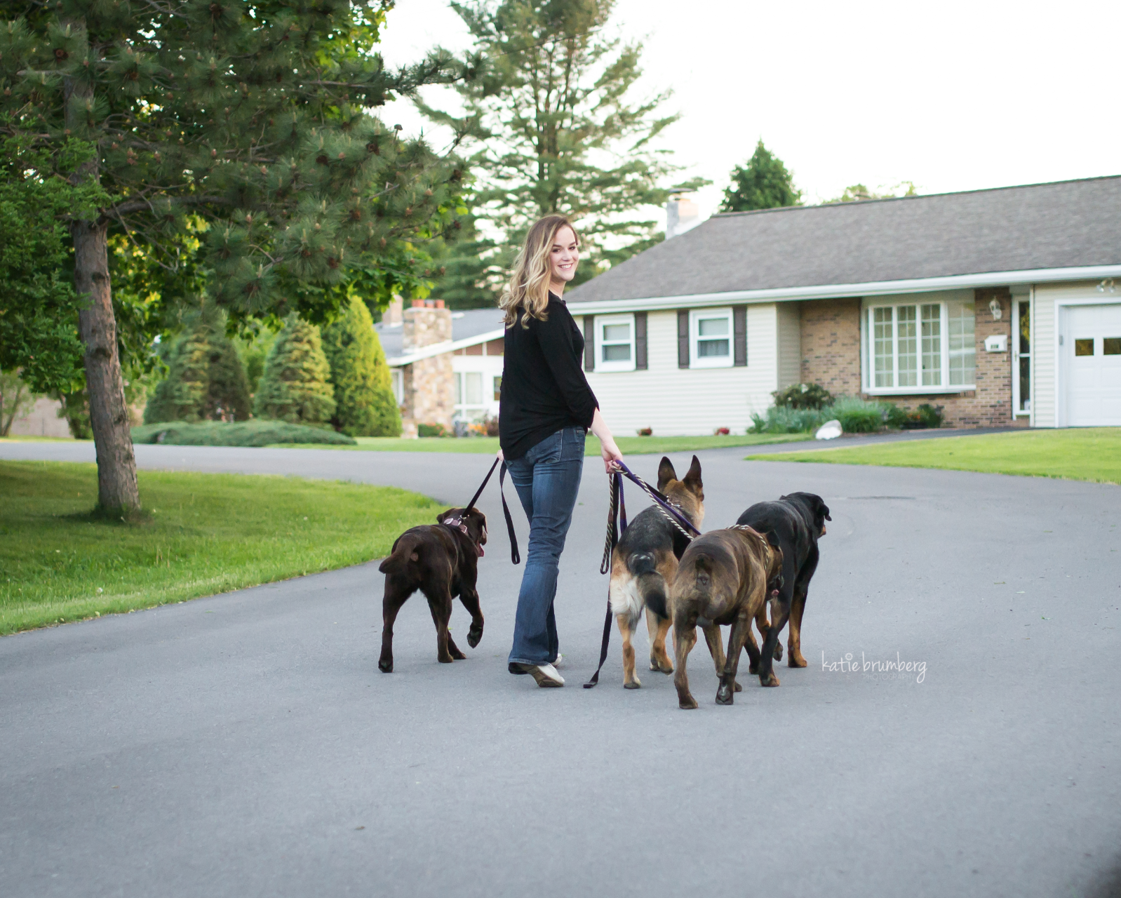 K Solutions Dog Training K Solutions Dog Training