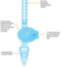 Vacuderm website photo 2.jpg