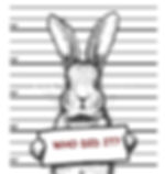 RabbitMugshot.jpg