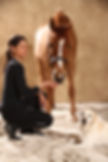 Ostéopathe animalier, équin, canin, chevaux, chien, kinésithérapeute, physiothérapeute, tecar thérapie, Lorraine, Moselle, Metz, Luxembourg