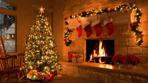 christmas-is-coming-christmas-tree.gif