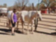 HorseSpeak Photo.jpeg