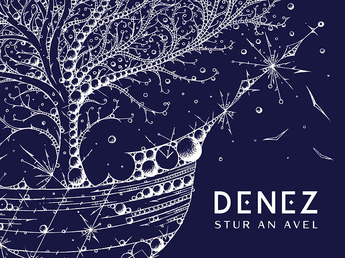 denez-stur-digital (glissé(e)s).jpg