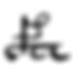 voynich character p.png