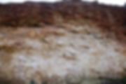 batch1437954653_coonawarra_soil_profile_