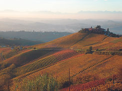 vigne autunno.jpg