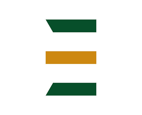 Terrasport Logo