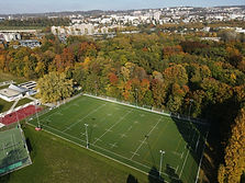 Terrasport Terrain synthétique