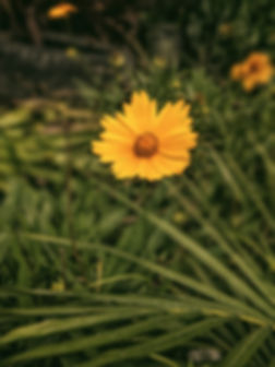 emmanuel-ben-paul-Q0StYYctCOQ-unsplash_e