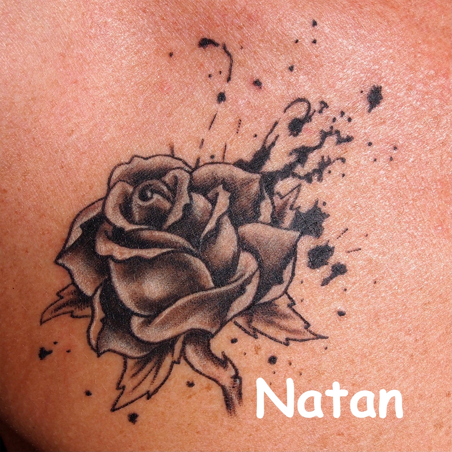 natantattoo rosa nera jpg natantattoo rosa nera jpg