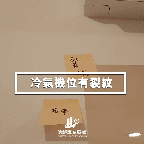 animated gif-downsized_large.gif