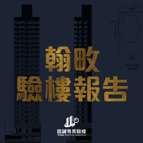 animated gif-downsized_large-17.gif