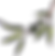 olive1.png