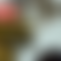 The Green Traveller Digest, October 2025