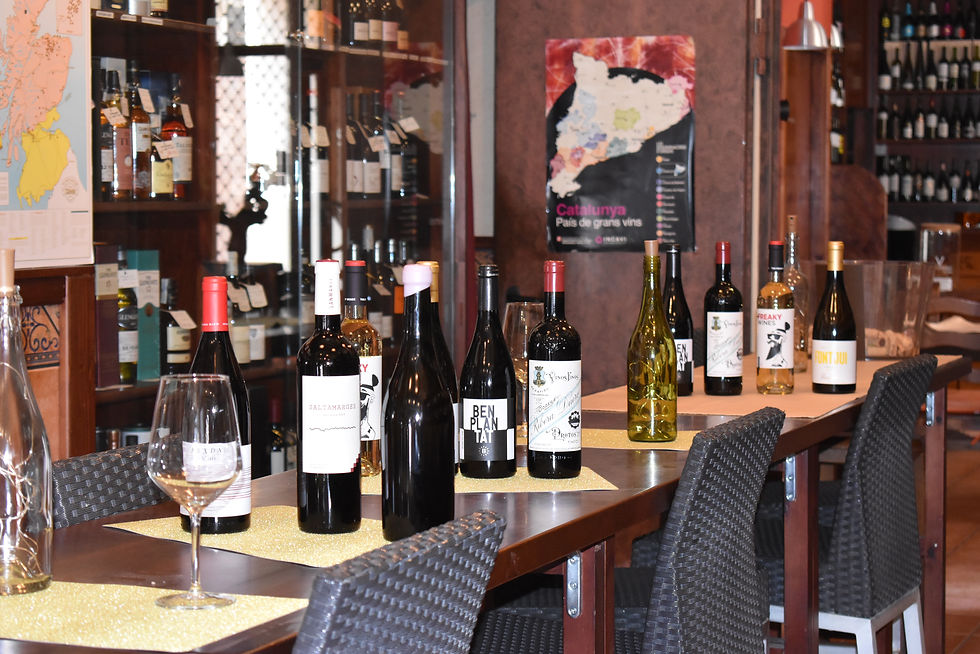 Vins i copes