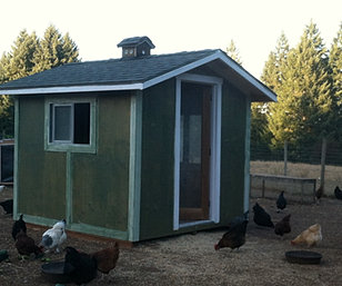 farmer asked Builder By Bike to build her an 8x8 chicken coop, which ...