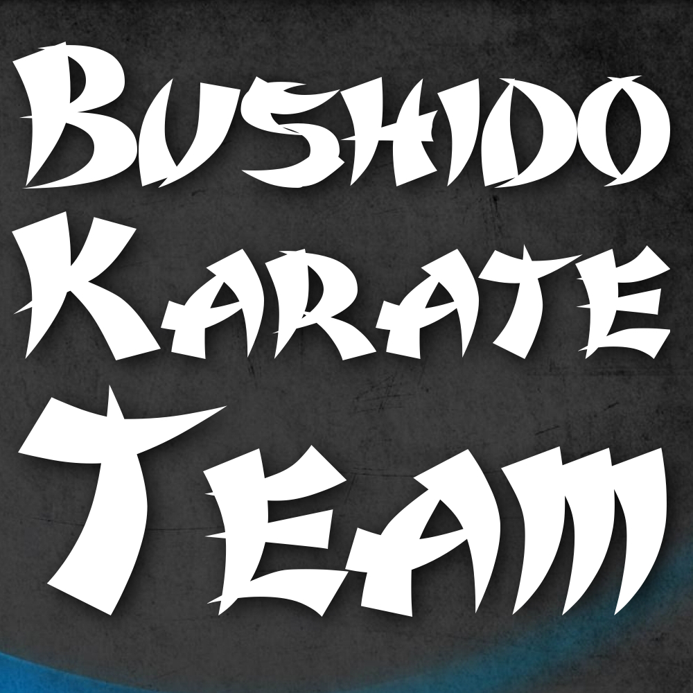 Bushido Karate Team