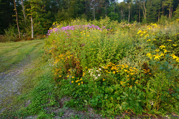 living in vermont living in vermont