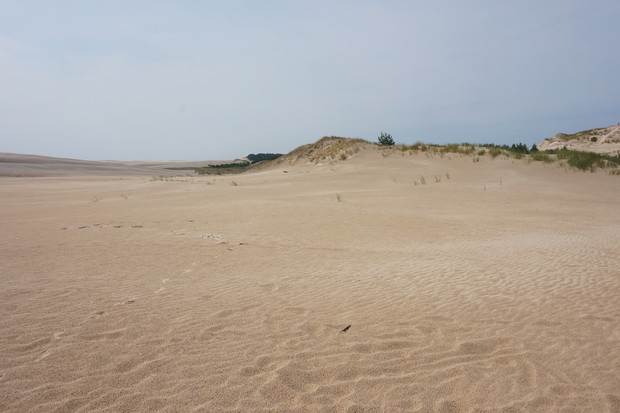 Łeba, slowinski national park