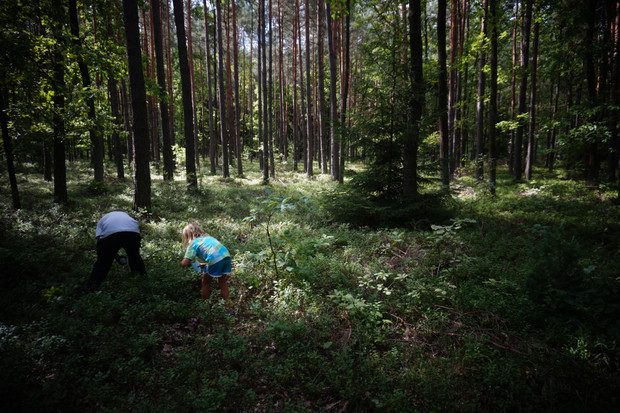 nature connection, life on the farm, foraging