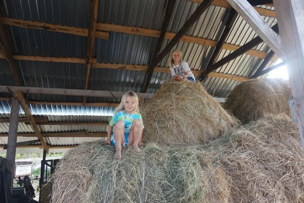 LIFE ON THE FARM, upfortravel LIFE ON THE FARM, upfortravel