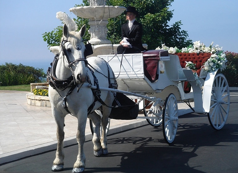 Wedding Horse and Carriage Rentals CA Cindy Cinderella Carriages