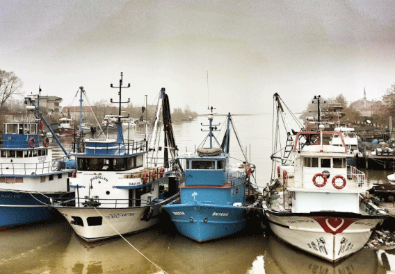 çocukla gezi, günübirlik, Sakarya, Karasu, Memduhiye, Acarlar Longozu, Poyrazlar Gölü