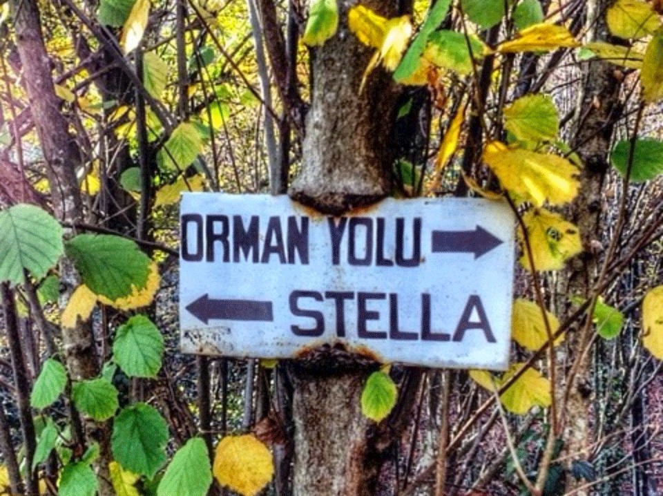 günübirlik gezi, çocukla gezi, haftasonu, Polonezköy, Büyükada, Riva, Poyrazköy
