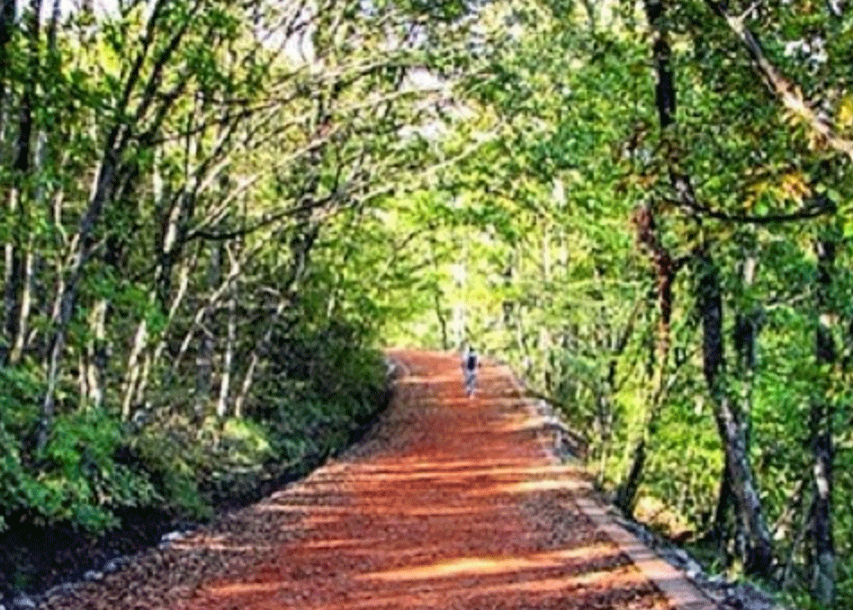 günübirlik gezi, çocukla gezi, haftasonu, Polonezköy, Büyükada, Riva, Poyrazköy