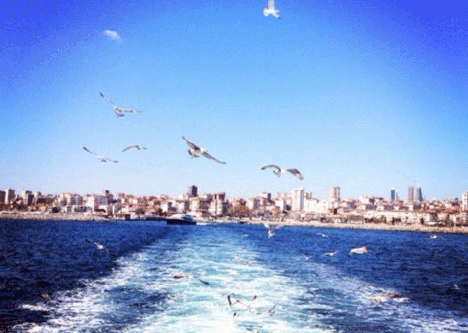günübirlik gezi, çocukla gezi, haftasonu, Polonezköy, Büyükada, Riva, Poyrazköy