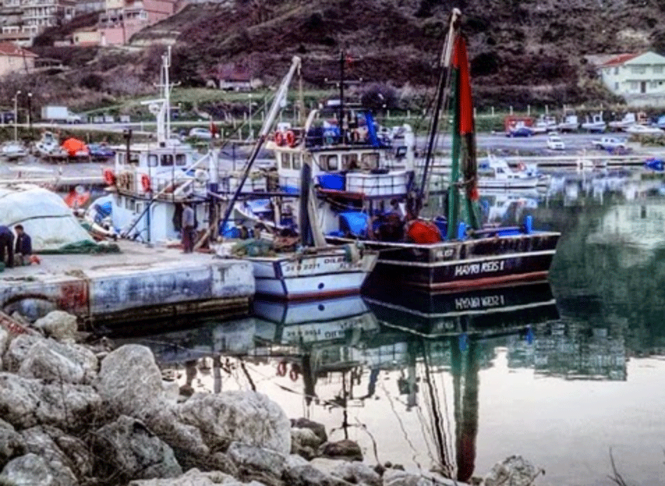günübirlik gezi, çocukla gezi, haftasonu, Polonezköy, Büyükada, Riva, Poyrazköy