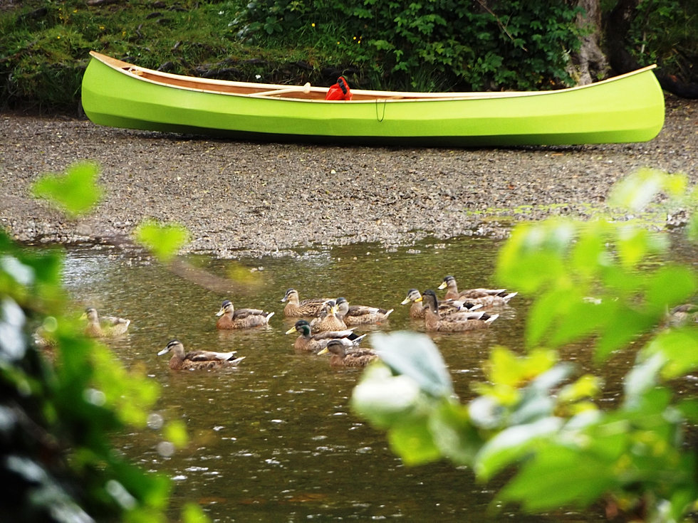 orca canoe building workshops TESTIMONIALS