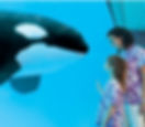 seaworld-parks.jpg