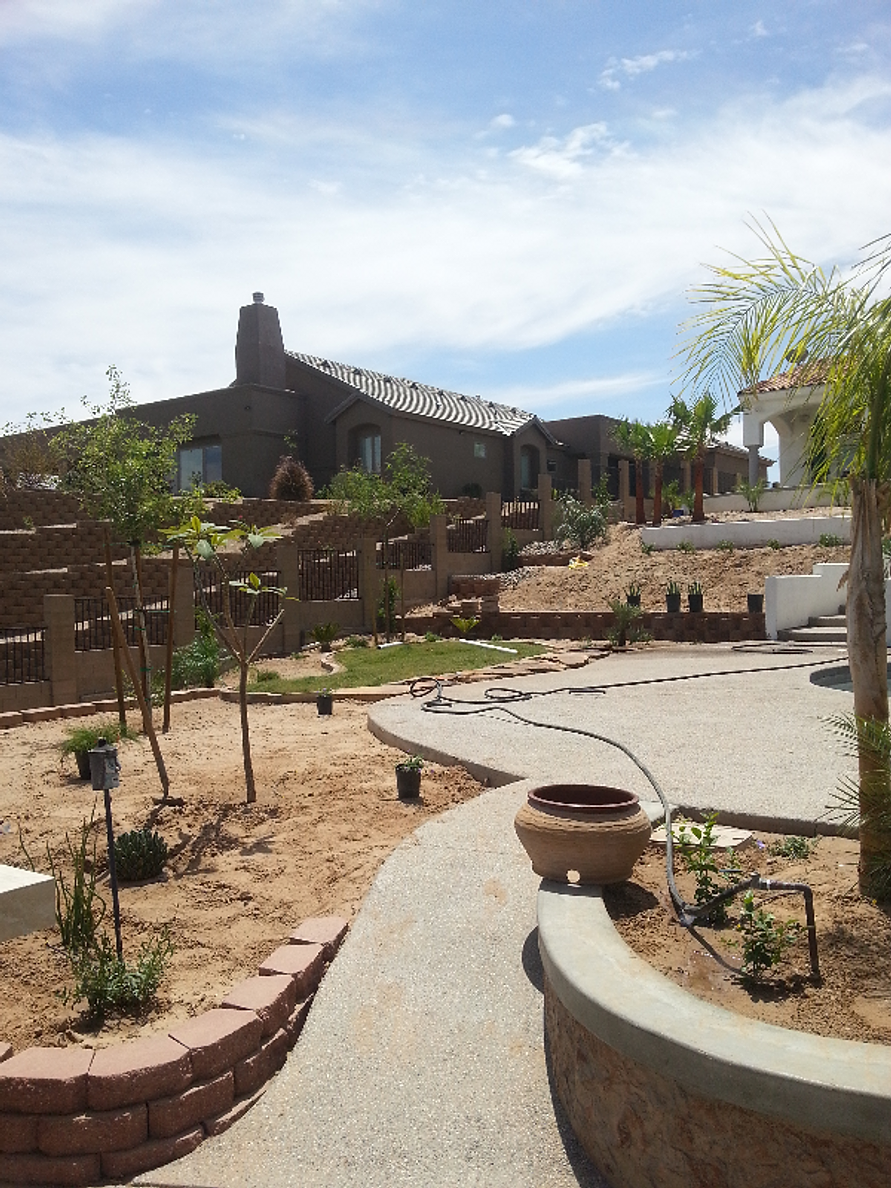 All Play LawnsArtificial GrassSynthetic LawnsLandscapingYuma, AZ