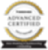 Partner Logo_Gold Advanced Embedding + D