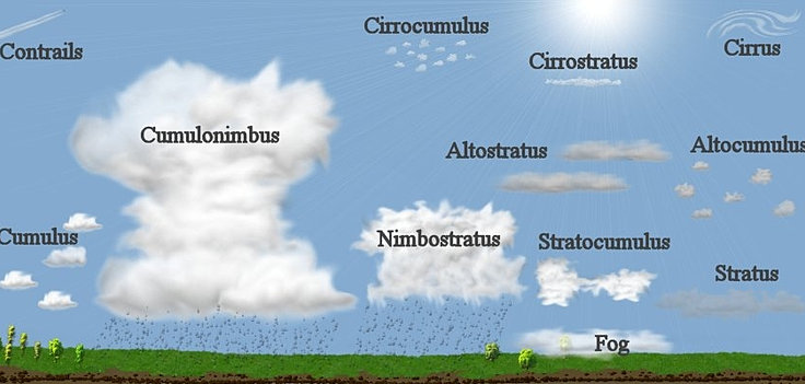 Worksheets Cloud Types Worksheet cloud types identification diagram