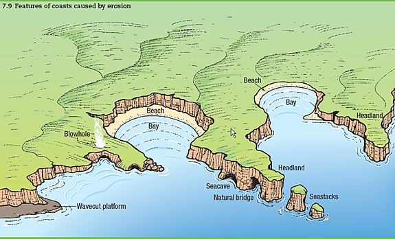 geography geography coastal worksheet of   coast features    geography   coast geography   coasts