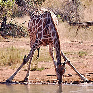 5cd90f7749c3bed7cb8c0b85a19b6271.wix_mp_512