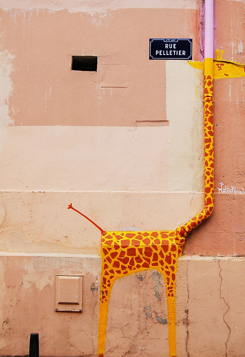 Giraffe Graffiti