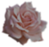 5a1bbaf1cbc171_edited.png