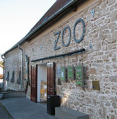 image7.jpg