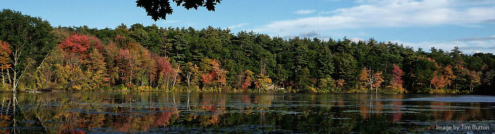 Fawn Lake header.jpg