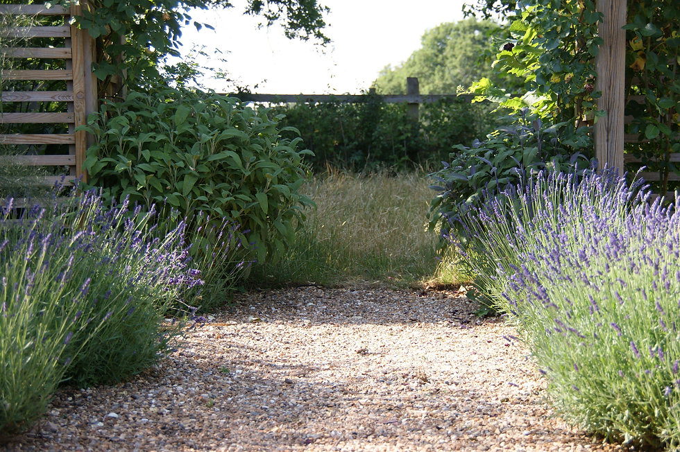 long garden design and landscaping